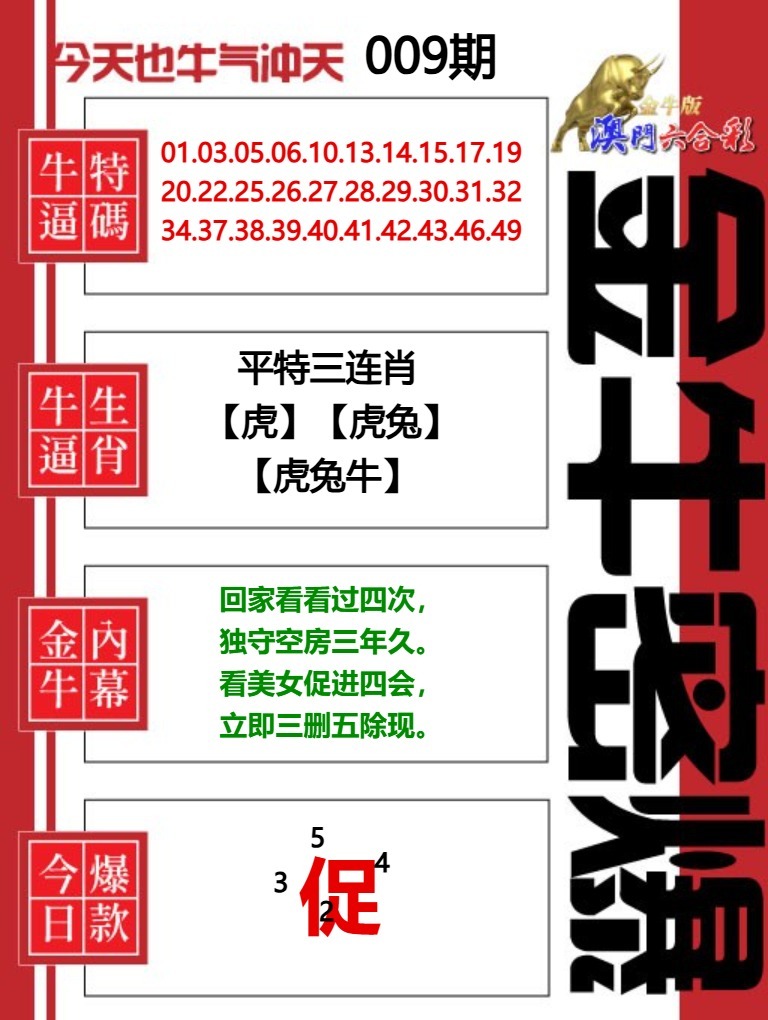 009期金牛密爆[图]