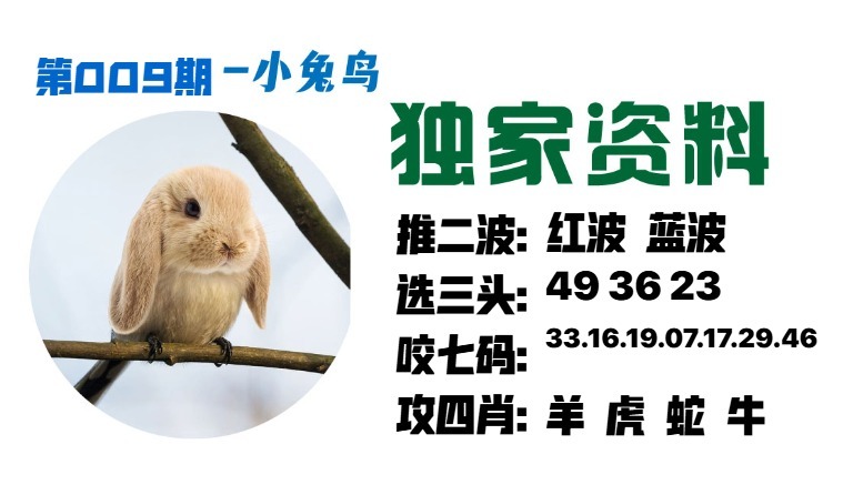 009期小兔鸟[图]